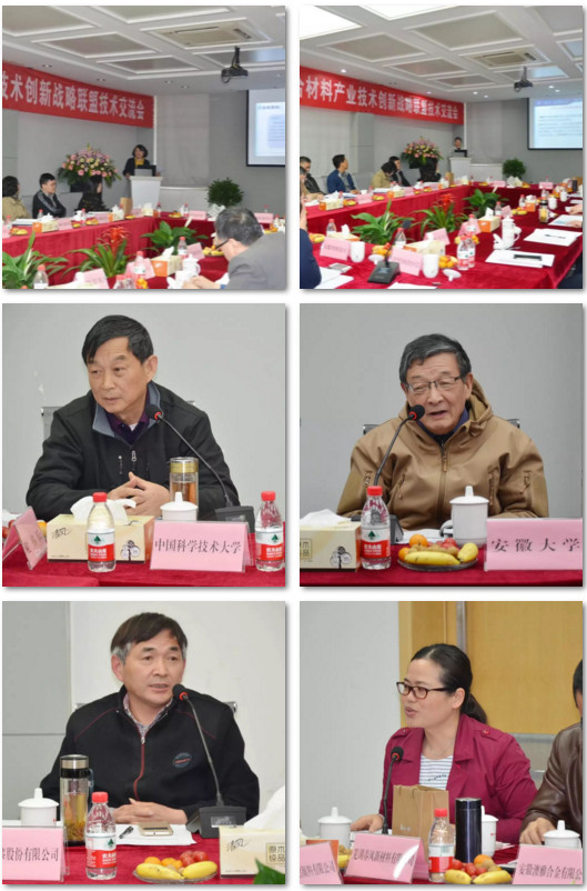 安徽省金屬漿料(粉體)高分子復(fù)合材料產(chǎn)業(yè)聯(lián)盟技術(shù)交流會